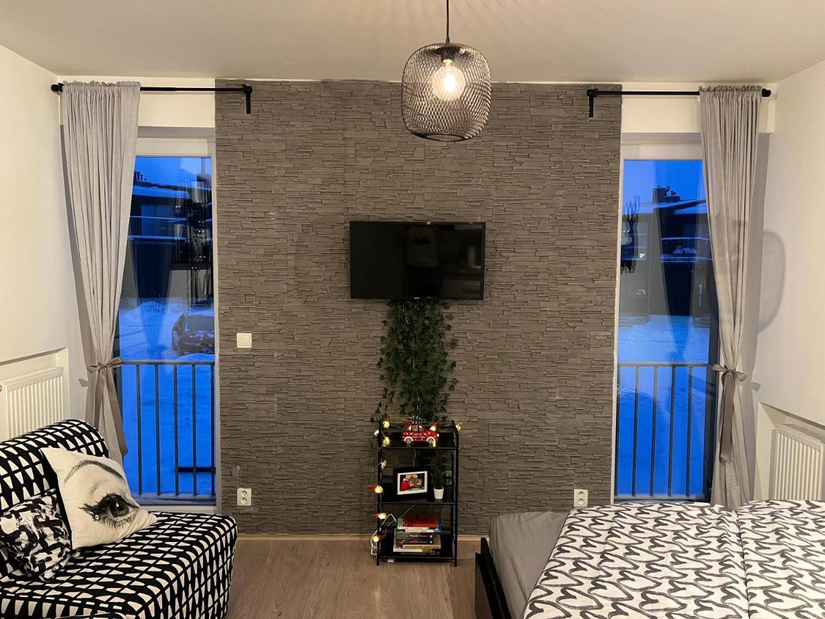 New Nelis Apartment Klinovec Loučná pod Klínovcem المظهر الخارجي الصورة