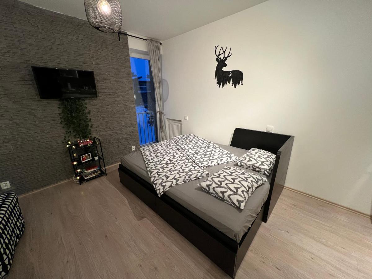 New Nelis Apartment Klinovec Loučná pod Klínovcem المظهر الخارجي الصورة