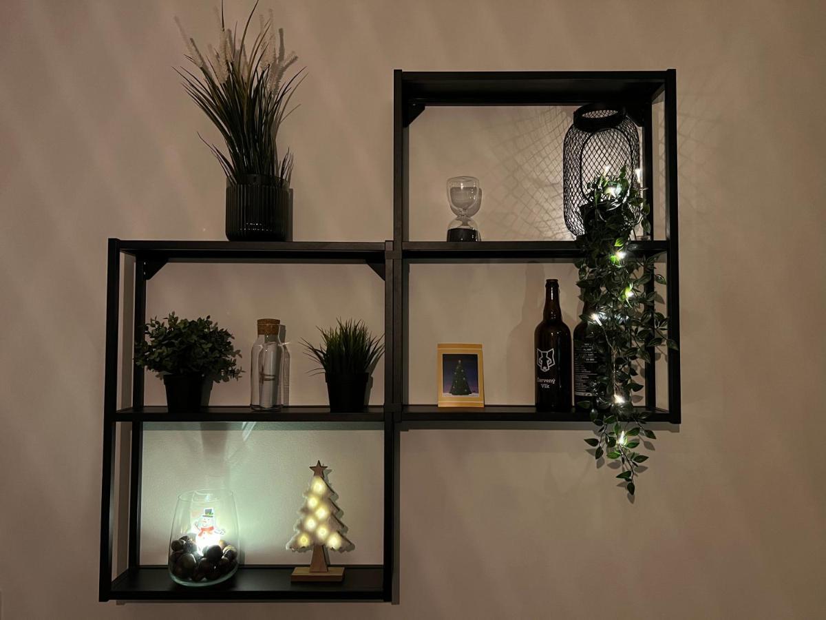 New Nelis Apartment Klinovec Loučná pod Klínovcem المظهر الخارجي الصورة